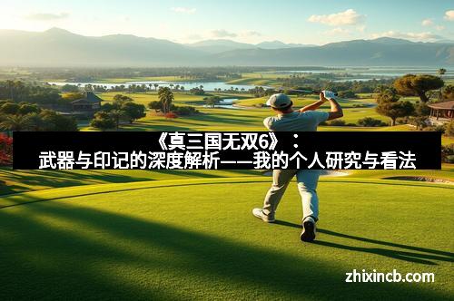 《真三国无双6》：武器与印记的深度解析——我的个人研究与看法